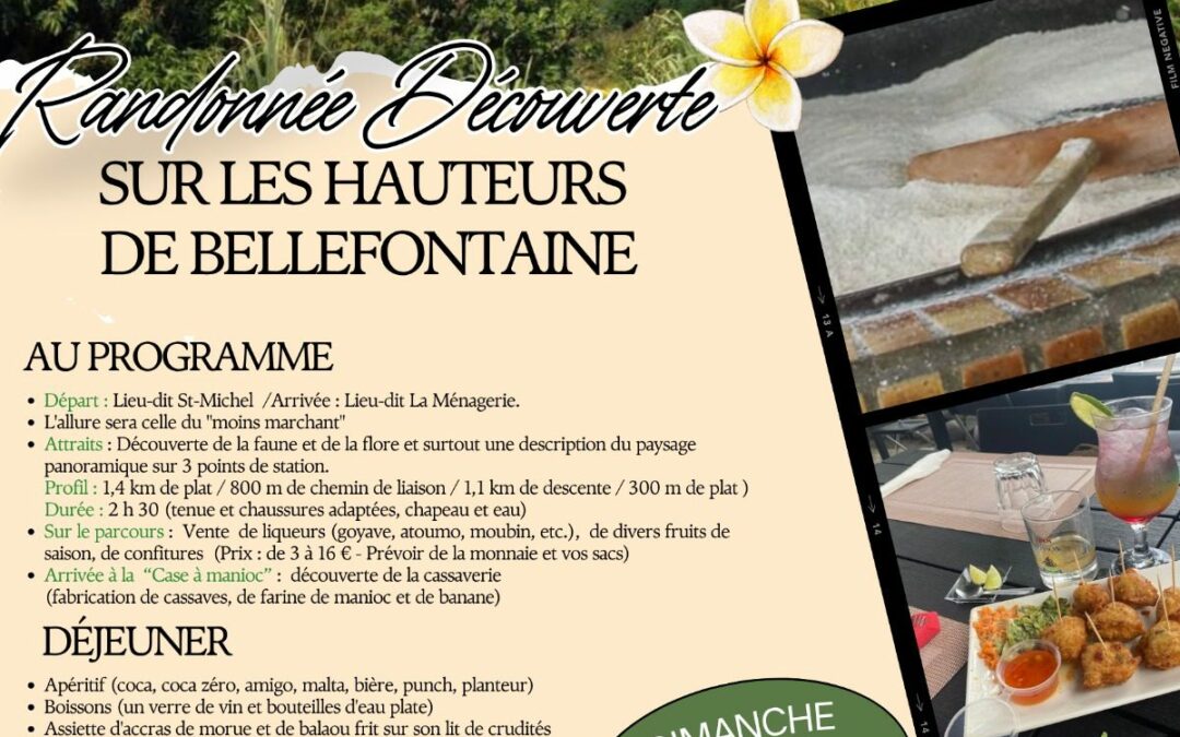 FR Inflexible de Desmarinières – Randonnée Découverte – Bellefontaine